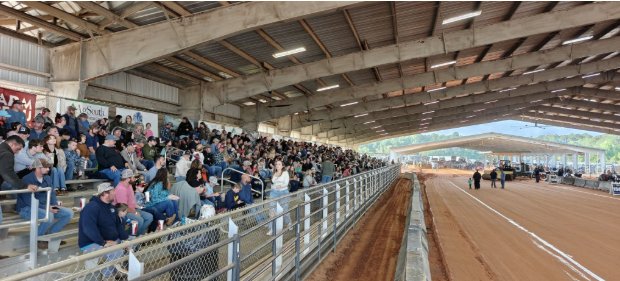 A packed grandstand watching a Southern Pullers event